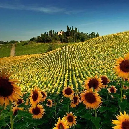 Tuscany Hills - Comfort 10 Minutes From Montepulciano And Pienza *