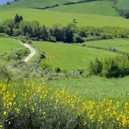 Dom wakacyjny Tuscany Hills - Comfort 10 Minutes From Montepulciano And Pienza