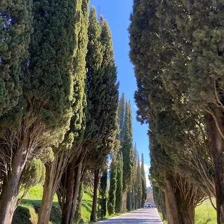 Tuscany Hills - Ideal Base For Your Tours In Tuscany