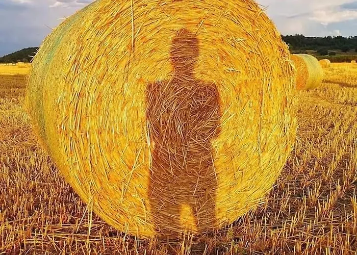 펜션 Tuscany Hills - Free Covered Parking Wifi Air Conditioning *