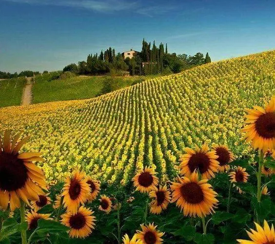 Tuscany Hills - Free Covered Parking Wifi Air Conditioning *