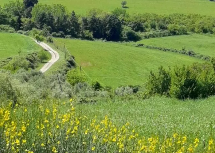 Hébergement de vacances Tuscany Hills - Ideal Base For Your Tours In Tuscany