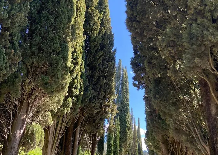 Tuscany Hills - Ideal Base For Your Tours In Tuscany